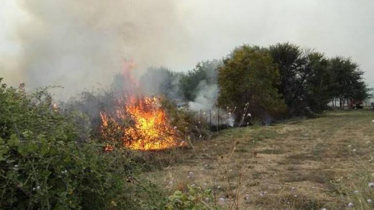 Σε ύφεση η φωτιά στον Ασπρόπυργο - Φόβος αναζωπυρώσεων εξαιτίας των ανέμων