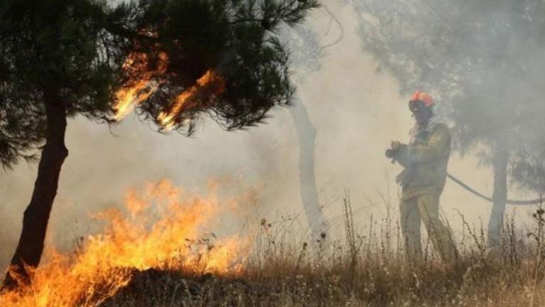 Εκκενώνεται χωριό στην Ηλεία- Απειλείται από την πυρκαγιά