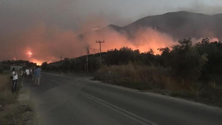 Η Ανατολική Μάνη στις φλόγες-Καταγγελίες για ολιγωρία της Πυροσβεστικής