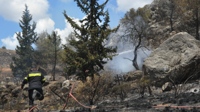 Υπό έλεγχο η πυρκαγιά στην Αργολίδα - Παραλίγο να καούν σπίτια (ΦΩΤΟ)