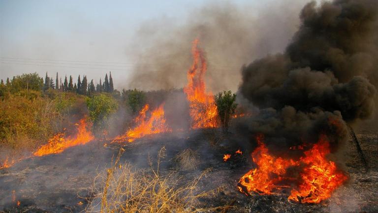Υπό μερικό έλεγχο η πυρκαγιά σε πευκοδασος της Κόνιτσας