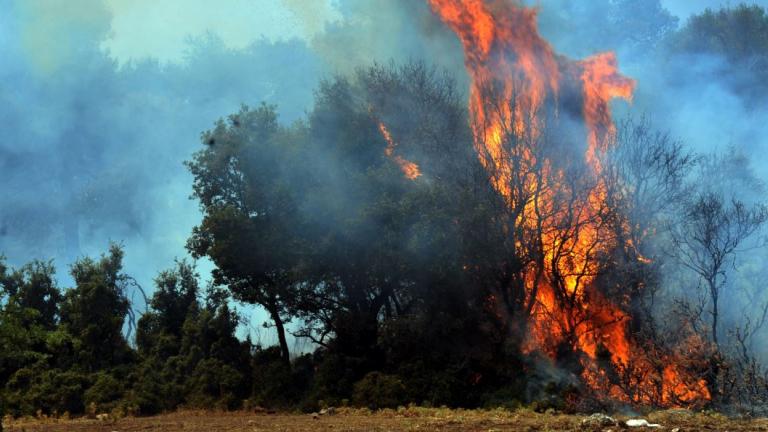 Υπό μερικό έλεγχο η φωτιά στη Λάρυμνα