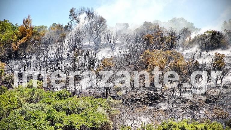 Σε ύφεση το πύρινο μέτωπο στις Ορθονιές Ζακύνθου - Συνεχίζεται η επίγεια και εναέρια κατάσβεση