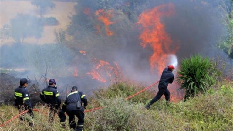 Υπό μερικό έλεγχο οι φωτιές σε Μάνη και Παγγαίο