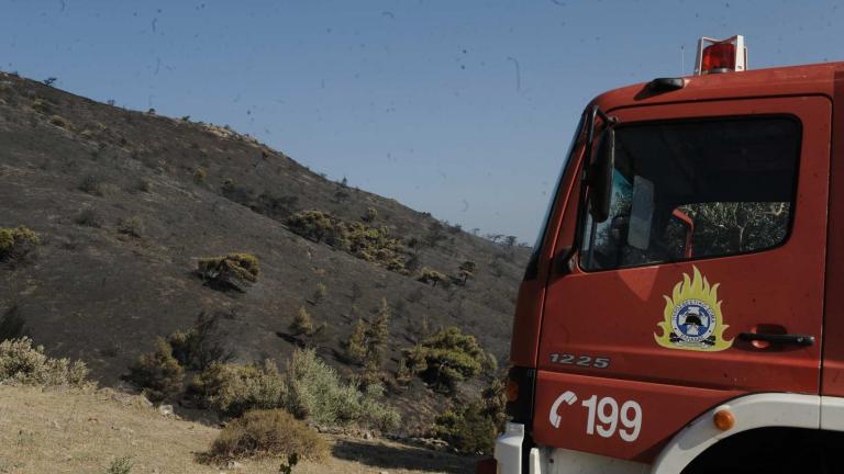 Υπό μερικό έλεγχο η πυρκαγιά στην Εύβοια