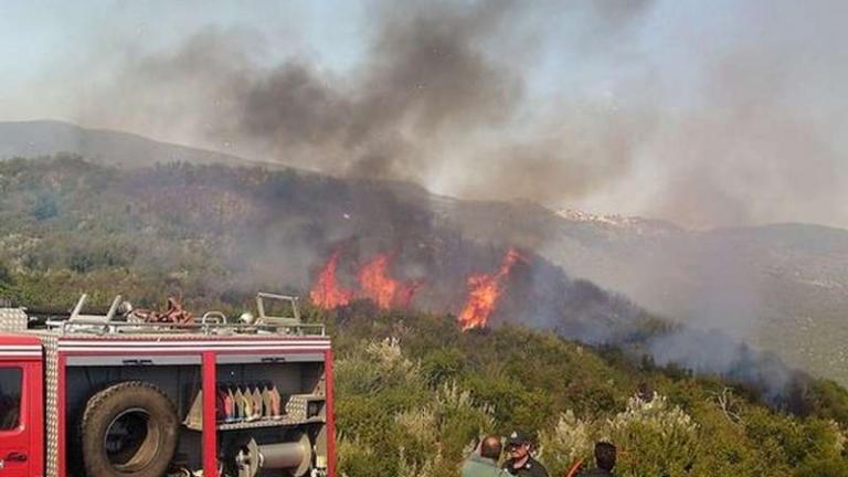 Φωτιά μεταξύ Λιβαδειάς και Θήβας 