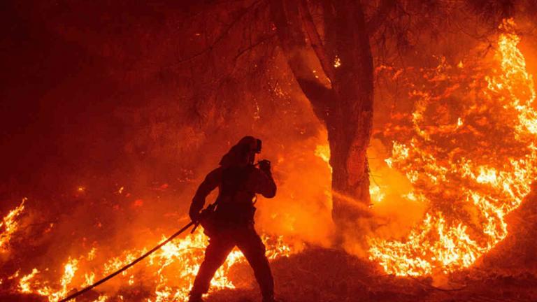 Προειδοποίηση WWF: Η Ελλάδα δεν είναι έτοιμη να αντιμετωπίσει φέτος πυρκαγιές