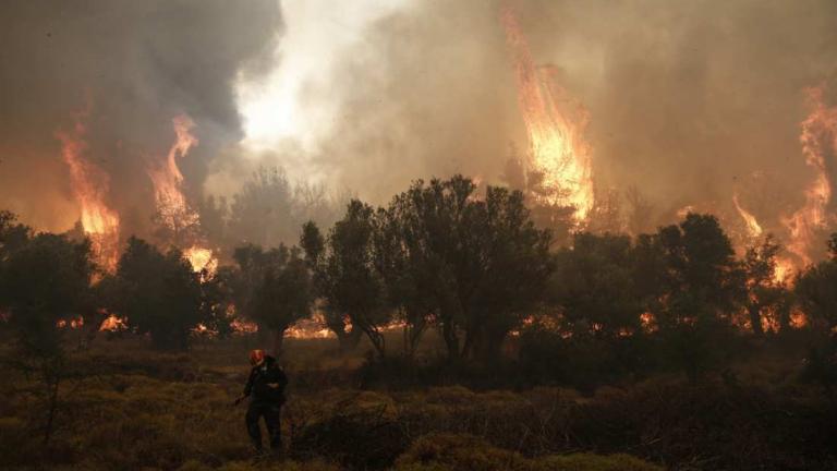 Σε δύο μέτωπα μαίνεται η φωτιά στα Δερβενοχώρια