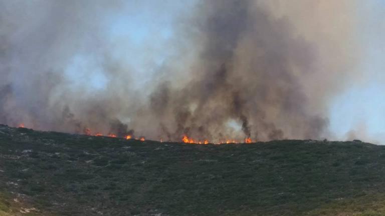 Φωτιά στα Λιρά Λακωνίας του Δήμου Μονεμβασίας