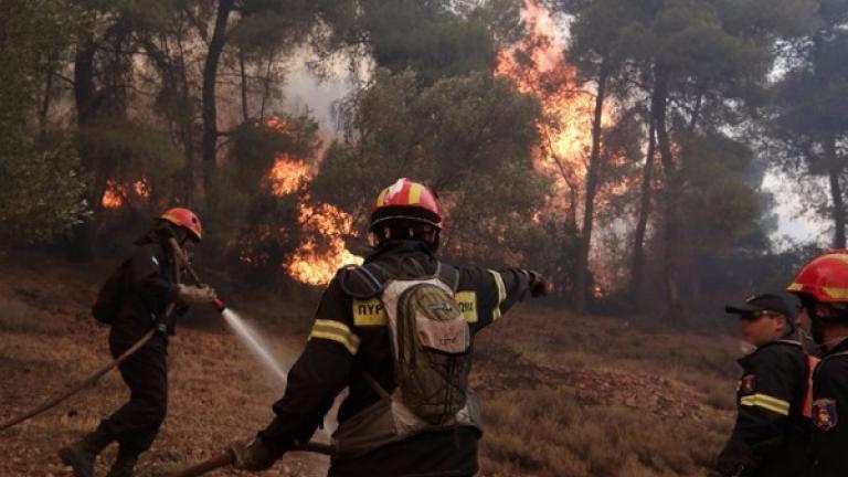 Σε εξέλιξη πυρκαγιά στον Ωρωπό-Ισχυρές δυνάμεις της Πυροσβεστικής στο σημείο