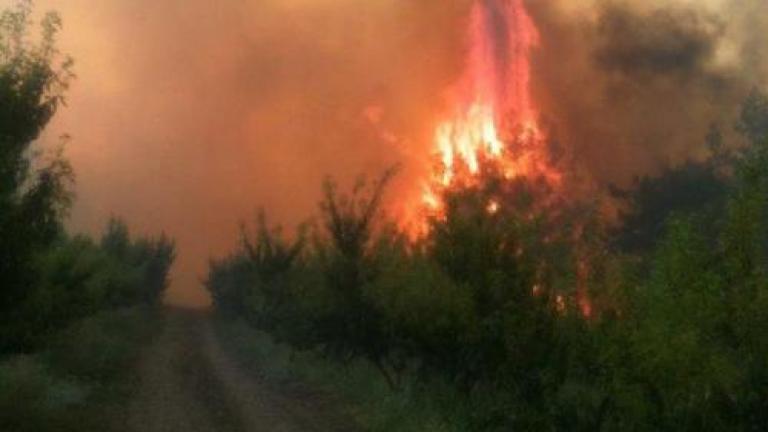 Νέα πυρκαγιά σε εξέλιξη στην Αγία Άννα Εύβοιας