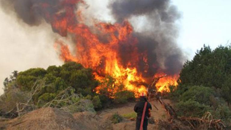 Υπό μερικό έλεγχο η φωτιά σε δασική έκταση στο Χάνι Μεγάρων