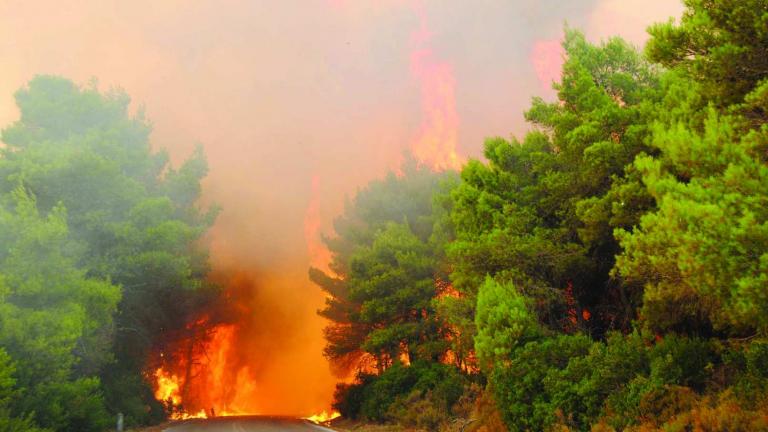 Σε πλήρη εξέλιξη η μεγάλη πυρκαγιά στο Κοιλιώμενο στη Ζάκυνθο – (Βίντεο, Φωτό)