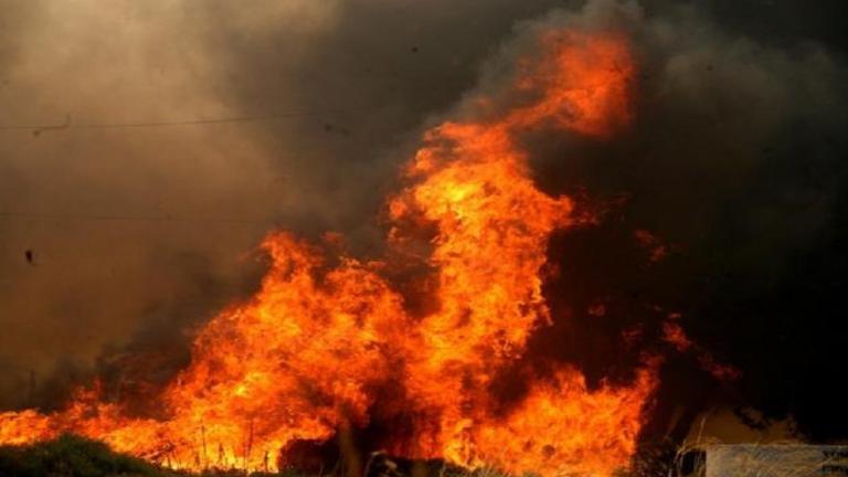 Υπό μερικό έλεγχο η φωτιά στην περιοχή Αλαγονία της Μεσσηνίας