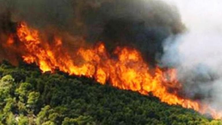 Κόρινθος: Σε εξέλιξη πυρκαγιά στην περιοχή Μέγας Βάλτος - Δεν απειλούνται κατοικημένες περιοχές