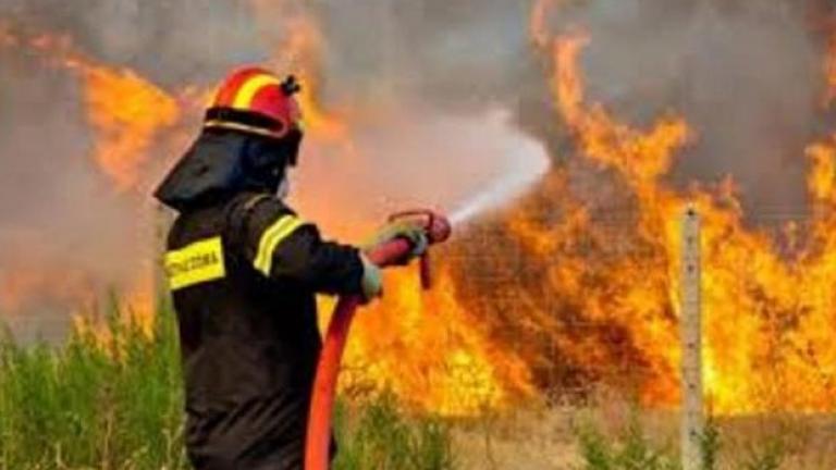 Πάτρα: Φωτιά στην περιοχή Πούντα Αιγιαλείας - Δεν απειλούνται κατοικημένες περιοχές