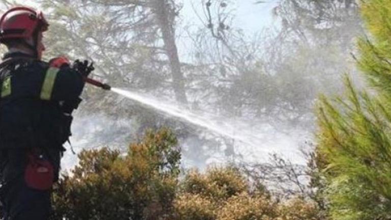 Υπό μερικό έλεγχο η πυρκαγιά σε περιοχή των Γουρνών