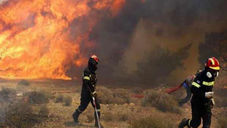 Μάχη με τις φλόγες: Συναγερμός στην πυροσβεστική - Πυρκαγιές στη χώρα