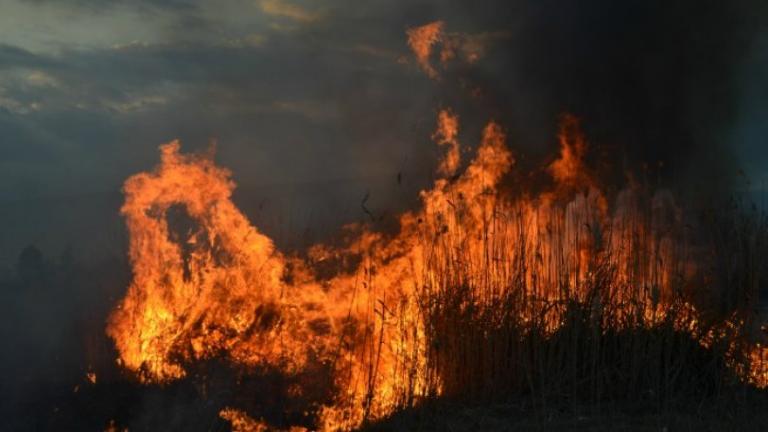 Κόλαση στην Ανατ. Μάνη-Κάηκαν σπίτια στον Κότρωνα-Διάσπαρτες φωτιές και σε άλλα σημεία της Επικράτειας