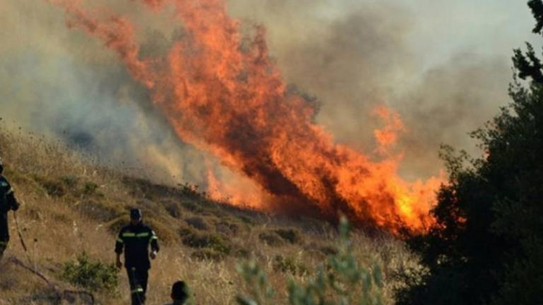 Σε ύφεση η πυρκαγιά στη Νέα Σάντα Ροδόπης - Ολονύχτια μάχη με τις φλόγες
