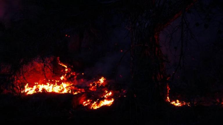 Στην Κερατέα ξέσπασε πυρκαγιά στην Πέτα Κερατέας, στην κορυφογραμμή μακριά από σπίτια και στην Ανθούσα σε οικοπεδικό χώρο κοντά σε σπίτια 