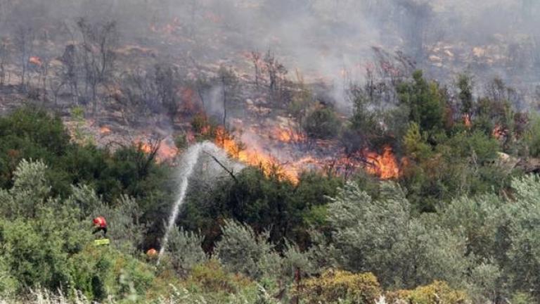 Πυροσβεστική : Μάχη με τις φλόγες - Σε ύφεση τα μέτωπα σε Κάρυστο, Πικέρμι, Καρπενήσι