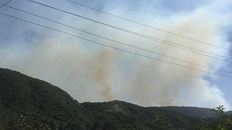 Νέα φωτιά μαίνεται από το μεσημέρι και κατακαίει περιοχή που είχε διασωθεί μέχρι τώρα ενώ αναζωπυρώνονται και παλιότερα μέτωπα-Οργανωμένες εμπρηστικές ενέργειες βλέπουν ορισμένοι (ΦΩΤΟ)