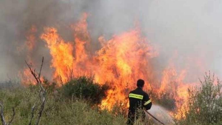 Σε εξέλιξη μεγάλη δασική πυρκαγιά στο Πικέρμι ανάμεσα σε σπίτια