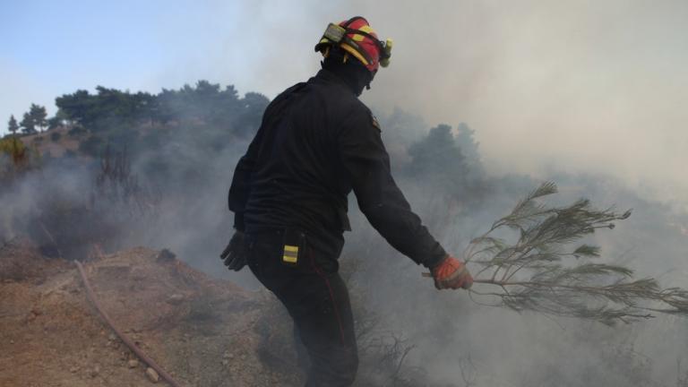 Σε εξέλιξη η καταγραφή ζημιών από την πυρκαγιά στον Ωρωπό