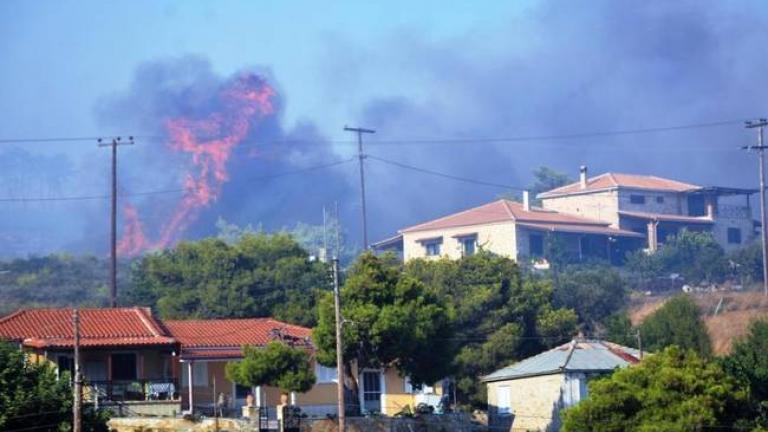 Ζάκυνθος: Μέτρα για την προστασία των καμένων δασών εξήγγειλαν οι Κοντονής, Αποστόλου και Φάμελλος