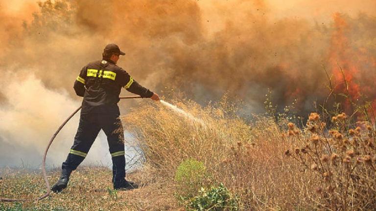 Πυρκαγιές σε εξέλιξη σε Φάρσαλα και Κιλελέρ