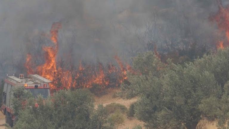Ακόμα καίει η πυρκαγιά στο αλσύλιο του Προφήτη Ηλία στο Άργος (ΦΩΤΟ+ΒΙΝΤΕΟ)
