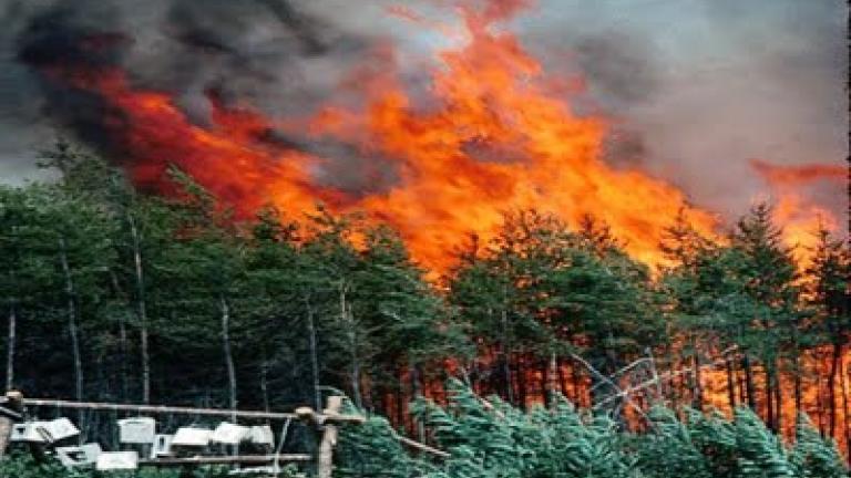 Σε εξέλιξη βρίσκεται πυρκαγιά σε ελατόδασος στην περιοχή Κορυσχάδες Ευρυτανίας
