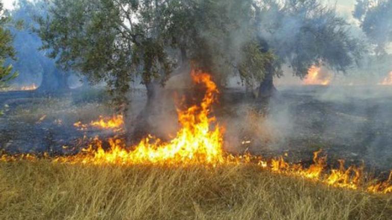 Πυρκαγιά στο hot-spot της Μόριας