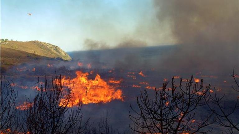 Φωτιά στη Μυτιλήνη 