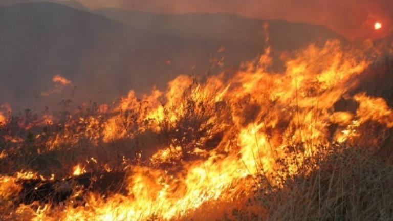 Μεγάλη πυρκαγιά στη Λεμεσό-Μάχη με δύο πύρινα μέτωπα 