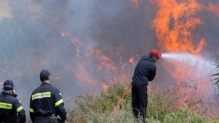Συναγερμός στην Κρήτη-Μεγάλη πυρκαγιά στη Ρογδιά Ηρακλείου