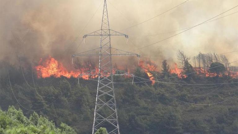 ΜΕΓΑΛΗ ΦΩΤΙΑ ΜΕ ΔΥΟ ΝΕΚΡΟΥΣ ΔΑΣΟΠΥΡΟΣΒΕΣΤΕΣ ΣΤΗΝ ΚΥΠΡΟ