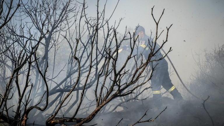 56  φωτιές το τελευταίο 24ωρο - Έρευνα Αστυνομίας και Πυροσβεστικής για εμπρησμούς