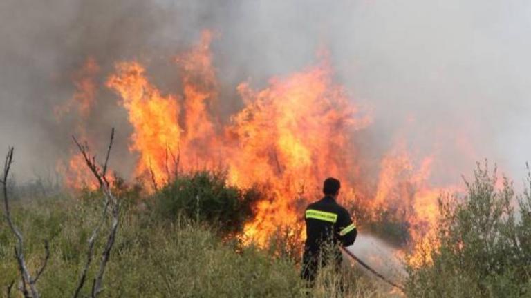 Πυρκαγιά σε εξέλιξη στην Κέρκυρα
