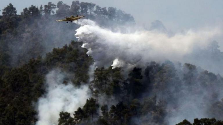 Σε ύφεση όλα τα μέτωπα στην Κύπρο-Γιατροί από Ελλάδα και Ισραήλ για την θεραπεία τραυματιών 