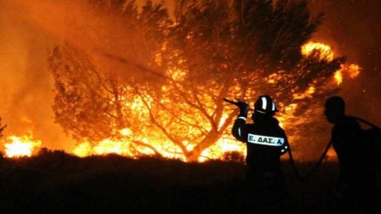 Σε ύφεση η πυρκαγιά στην Αγία Άννα Εύβοιας