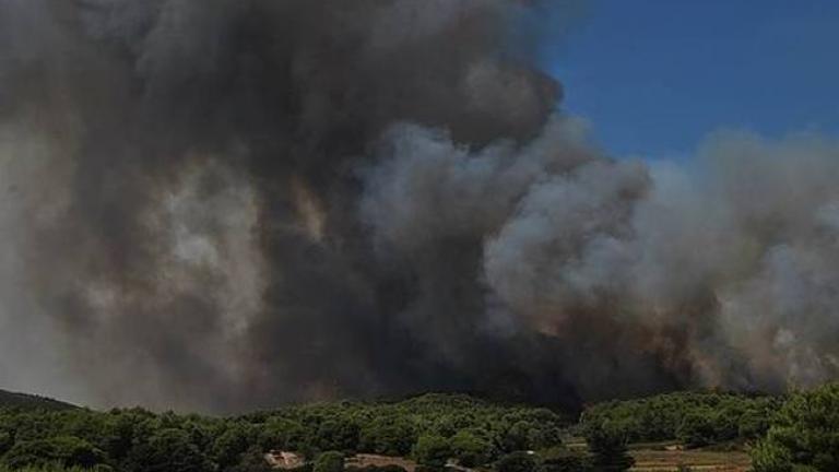 Σε εξέλιξη παραμένει μεγάλη πυρκαγιά σε πευκοδάσος στην Αλεξανδρούπολη