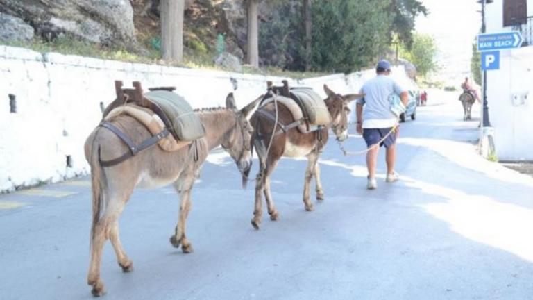 Φοροπρόστιμα σε... γαϊδούρια και 48ωρα λουκέτα σε μπαρ