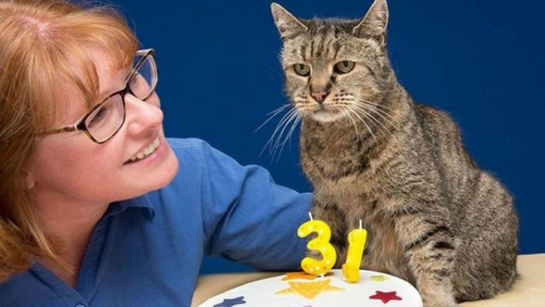 Ο Νούτμεγκ κατάφερε να ζήσει για 32 χρόνια, δηλαδή 144... γατίσια! (ΦΩΤΟ)