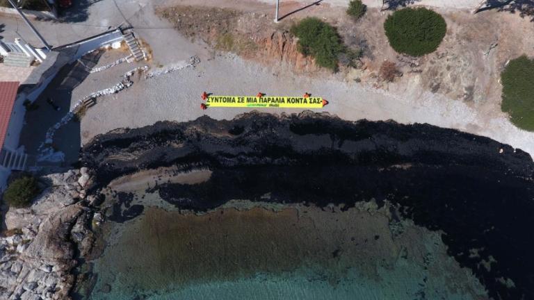 Greenpeace: Μη αναστρέψιμες οι καταστροφές από την πετρελαιοκηλίδα 