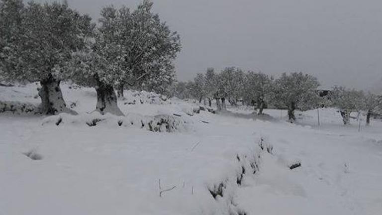 Ενίσχυση 450.000 ευρώ στη Λέσβο για αποκατάσταση ζημιών από την κακοκαιρία