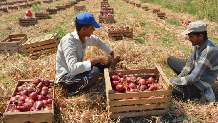 Ελληνικό Συμβούλιο για τους Πρόσφυγες: Η παρουσία μεταναστών βελτίωσε το δημογραφικό στην Ελλάδα