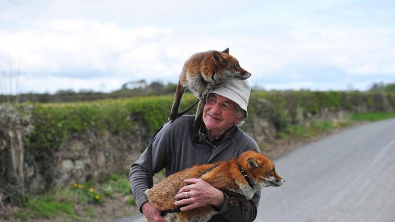 Μια υπέροχη φιλία ανθρώπου και αλεπούς (ΦΩΤΟ)