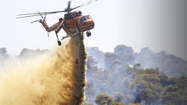 Σε εξέλιξη πυρκαγιές σε Φθιώτιδα και Ζάκυνθο-Για δεύτερη ημέρα οι φωτιές σε Πάργα και Αγρίνιο